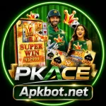PKACE Game